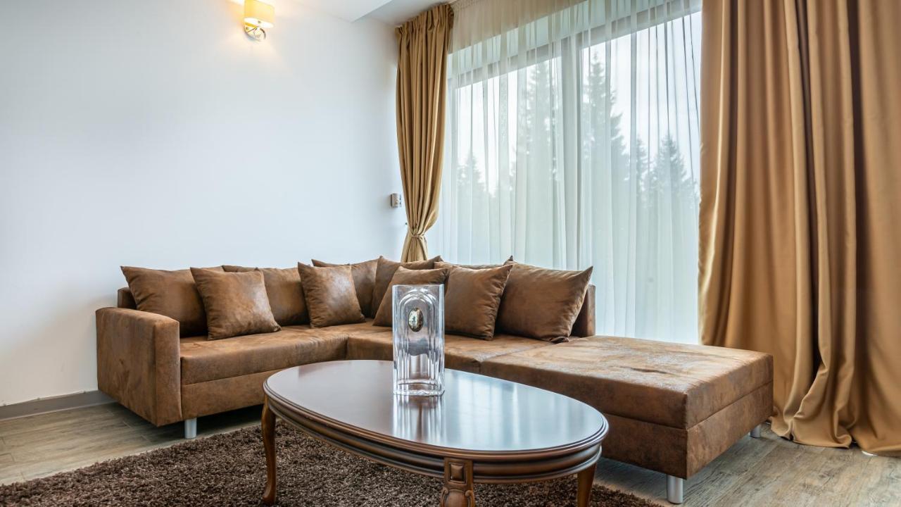 Cold Mountain In Silver Mountain 公寓 Poiana Brasov
